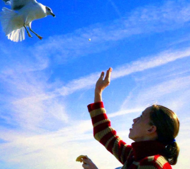 My niece on the same morning, feeding the gulls.